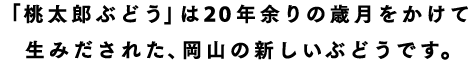 桃太郎ぶどうは岡山の新しいぶどうです。