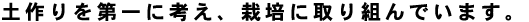 皮ごと食べる「ぶどう」だから、安心なおいしさを。